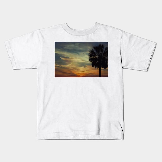 Florida sunset with Palm Tree Kids T-Shirt by AdrianaHolmesArt